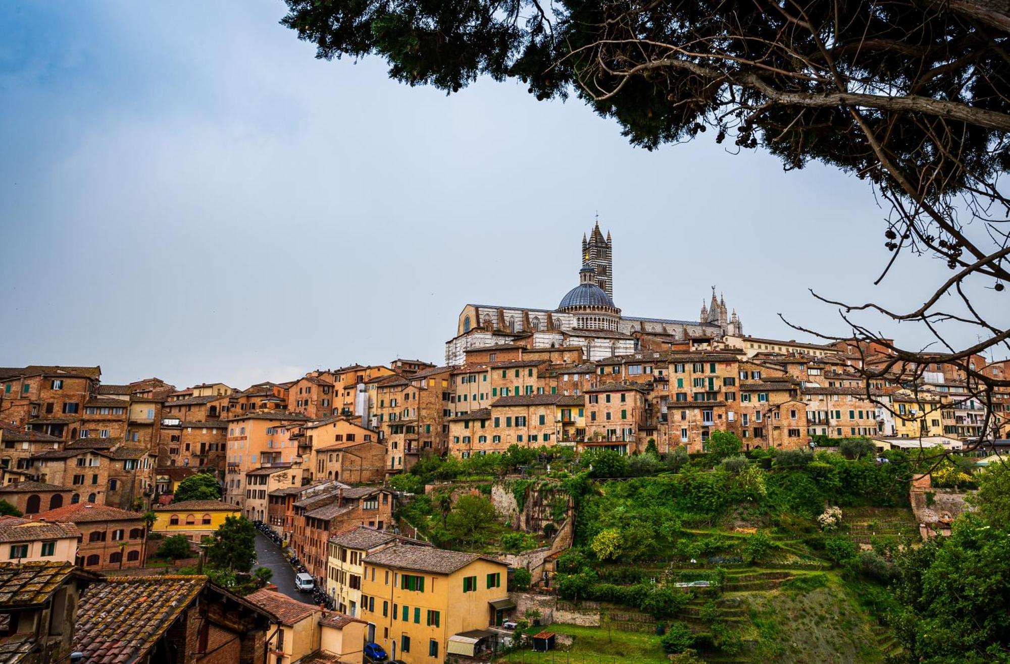 Civico116 - Dentro Le Mura, Parcheggio Gratuito Siena Exterior foto